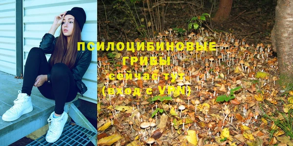 кокаин VHQ Белокуриха